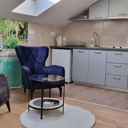 Naki Apartmani Podgorica Exteriér fotografie