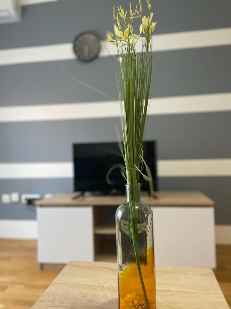 Naki Apartmani Podgorica Pokoj fotografie